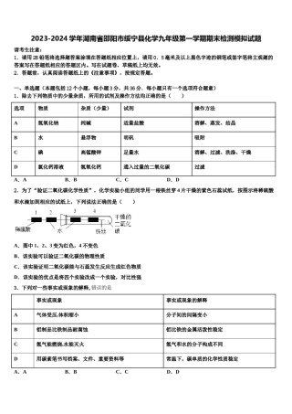 2023-2024学年湖南省邵阳市绥宁县化学九年级第一学期期末检测模拟试题含解析.doc
