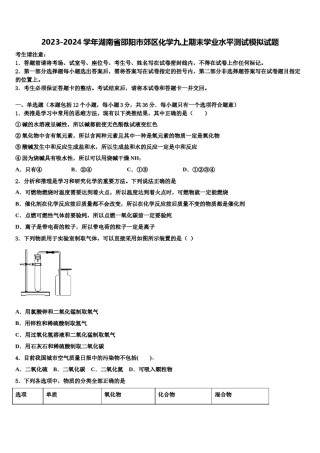 2023-2024学年湖南省邵阳市郊区化学九上期末学业水平测试模拟试题含解析.doc
