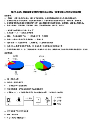 2023-2024学年湖南省邵阳市隆回县化学九上期末学业水平测试模拟试题含解析.doc