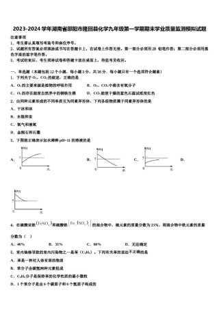 2023-2024学年湖南省邵阳市隆回县化学九年级第一学期期末学业质量监测模拟试题含解析.doc
