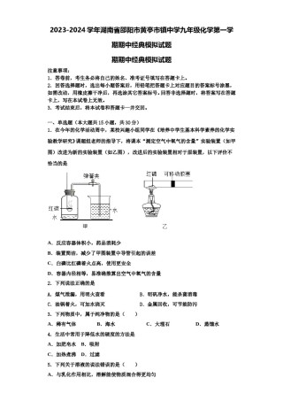 2023-2024学年湖南省邵阳市黄亭市镇中学九年级化学第一学期期中经典模拟试题含解析.doc