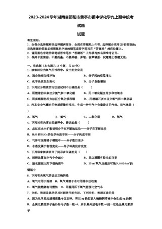 2023-2024学年湖南省邵阳市黄亭市镇中学化学九上期中统考试题含解析.doc