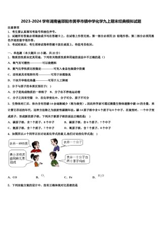 2023-2024学年湖南省邵阳市黄亭市镇中学化学九上期末经典模拟试题含解析.doc