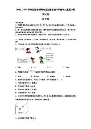 2023-2024学年湖南省郴州市北湖区鲁塘中学化学九上期中预测试题含解析.doc