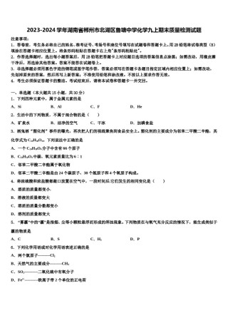 2023-2024学年湖南省郴州市北湖区鲁塘中学化学九上期末质量检测试题含解析.doc