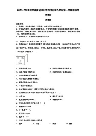 2023-2024学年湖南省郴州市名校化学九年级第一学期期中考试试题含解析.doc