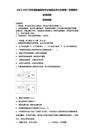 2023-2024学年湖南省郴州市汝城县化学九年级第一学期期中检测试题含解析.doc