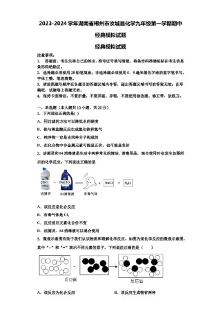 2023-2024学年湖南省郴州市汝城县化学九年级第一学期期中经典模拟试题含解析.doc