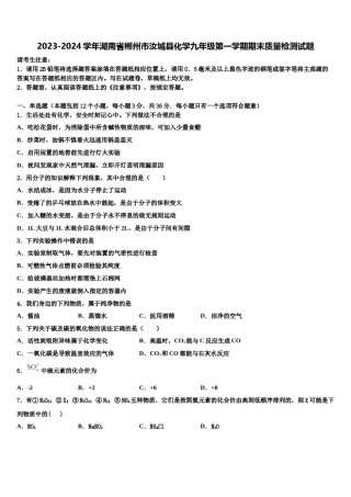 2023-2024学年湖南省郴州市汝城县化学九年级第一学期期末质量检测试题含解析.doc