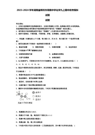2023-2024学年湖南省郴州市湘南中学化学九上期中统考模拟试题含解析.doc