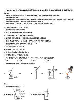 2023-2024学年湖南省郴州市第五完全中学九年级化学第一学期期末质量检测试题含解析.doc