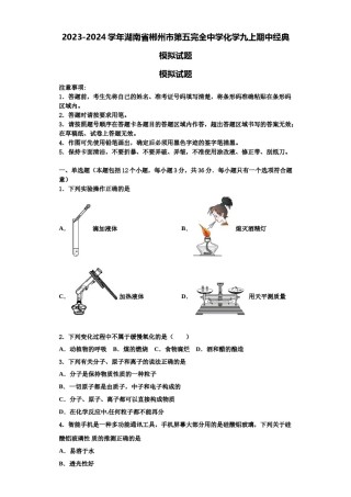 2023-2024学年湖南省郴州市第五完全中学化学九上期中经典模拟试题含解析.doc