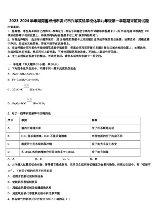 2023-2024学年湖南省郴州市资兴市兴华实验学校化学九年级第一学期期末监测试题含解析.doc
