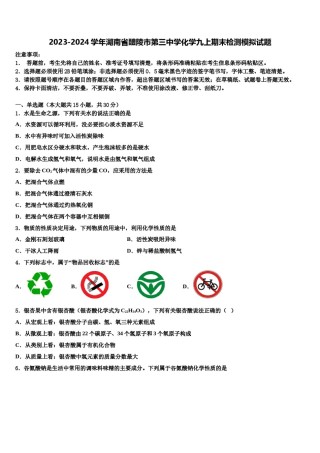 2023-2024学年湖南省醴陵市第三中学化学九上期末检测模拟试题含解析.doc