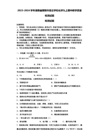 2023-2024学年湖南省醴陵市青云学校化学九上期中教学质量检测试题含解析.doc