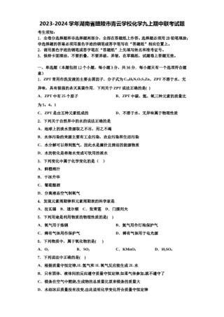2023-2024学年湖南省醴陵市青云学校化学九上期中联考试题含解析.doc