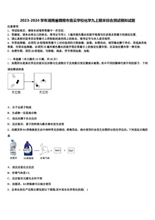 2023-2024学年湖南省醴陵市青云学校化学九上期末综合测试模拟试题含解析.doc