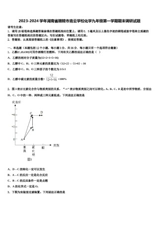 2023-2024学年湖南省醴陵市青云学校化学九年级第一学期期末调研试题含解析.doc