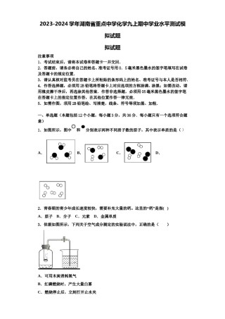 2023-2024学年湖南省重点中学化学九上期中学业水平测试模拟试题含解析.doc
