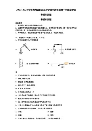 2023-2024学年湖南省长沙五中学化学九年级第一学期期中联考模拟试题含解析.doc