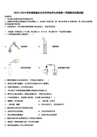 2023-2024学年湖南省长沙五中学化学九年级第一学期期末经典试题含解析.doc