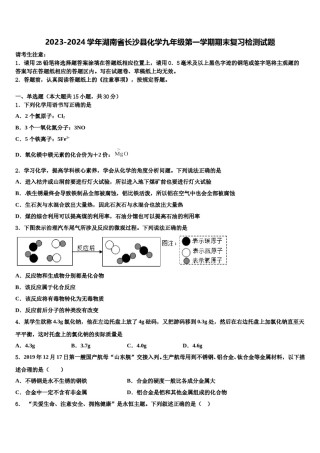 2023-2024学年湖南省长沙县化学九年级第一学期期末复习检测试题含解析.doc