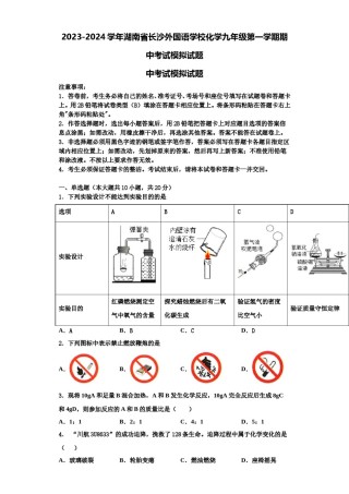 2023-2024学年湖南省长沙外国语学校化学九年级第一学期期中考试模拟试题含解析.doc