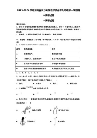 2023-2024学年湖南省长沙外国语学校化学九年级第一学期期中调研试题含解析.doc