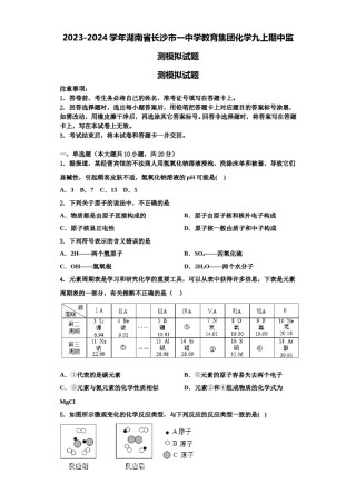 2023-2024学年湖南省长沙市一中学教育集团化学九上期中监测模拟试题含解析.doc