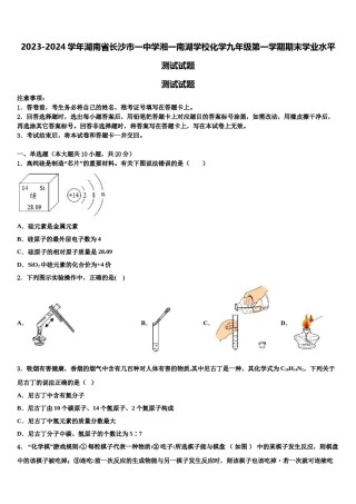 2023-2024学年湖南省长沙市一中学湘一南湖学校化学九年级第一学期期末学业水平测试试题含解析.doc