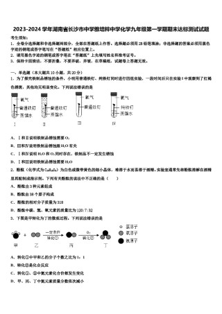 2023-2024学年湖南省长沙市中学雅培粹中学化学九年级第一学期期末达标测试试题含解析.doc
