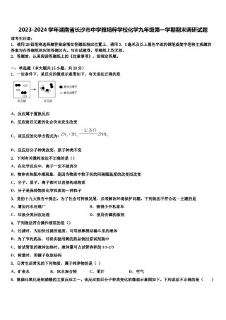 2023-2024学年湖南省长沙市中学雅培粹学校化学九年级第一学期期末调研试题含解析.doc