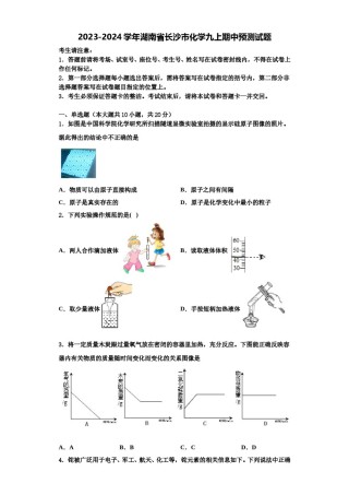 2023-2024学年湖南省长沙市化学九上期中预测试题含解析.doc