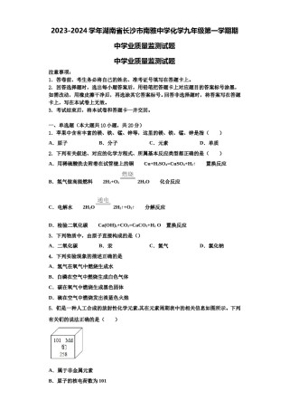 2023-2024学年湖南省长沙市南雅中学化学九年级第一学期期中学业质量监测试题含解析.doc