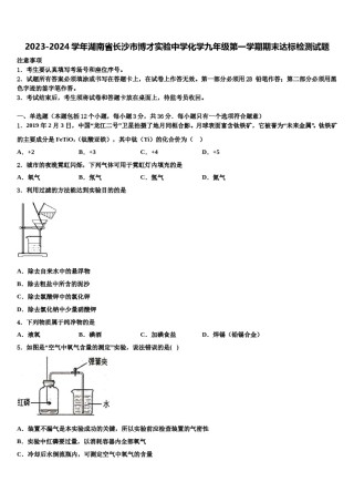 2023-2024学年湖南省长沙市博才实验中学化学九年级第一学期期末达标检测试题含解析.doc