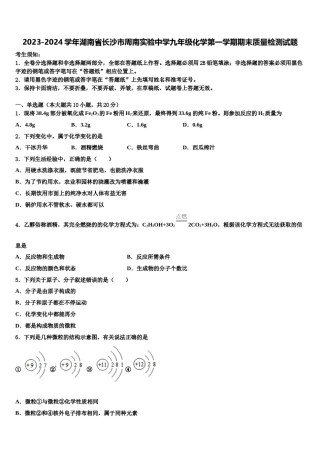 2023-2024学年湖南省长沙市周南实验中学九年级化学第一学期期末质量检测试题含解析.doc