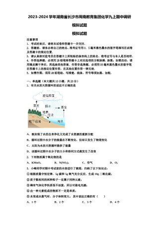 2023-2024学年湖南省长沙市周南教育集团化学九上期中调研模拟试题含解析.doc