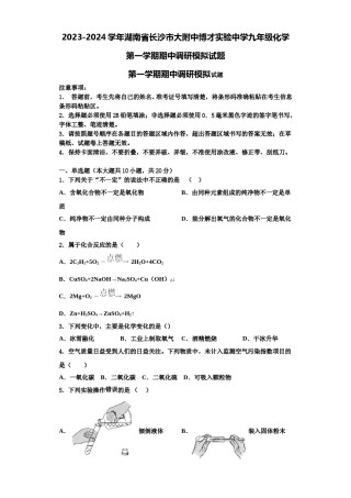 2023-2024学年湖南省长沙市大附中博才实验中学九年级化学第一学期期中调研模拟试题含解析.doc