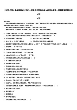 2023-2024学年湖南省长沙市大附中博才实验中学九年级化学第一学期期末质量检测试题含解析.doc