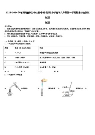 2023-2024学年湖南省长沙市大附中博才实验中学化学九年级第一学期期末综合测试试题含解析.doc
