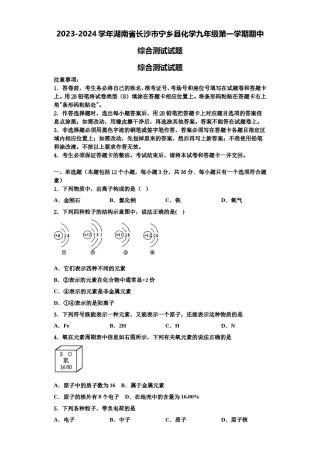 2023-2024学年湖南省长沙市宁乡县化学九年级第一学期期中综合测试试题含解析.doc