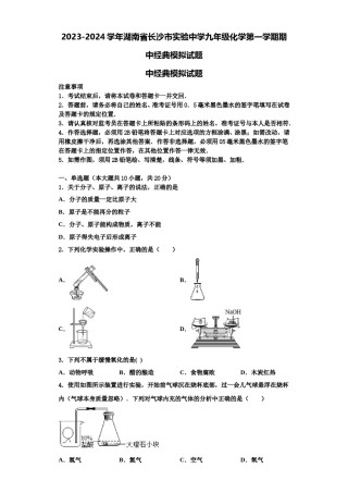 2023-2024学年湖南省长沙市实验中学九年级化学第一学期期中经典模拟试题含解析.doc