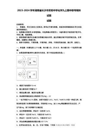 2023-2024学年湖南省长沙市实验中学化学九上期中联考模拟试题含解析.doc