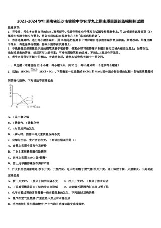 2023-2024学年湖南省长沙市实验中学化学九上期末质量跟踪监视模拟试题含解析.doc