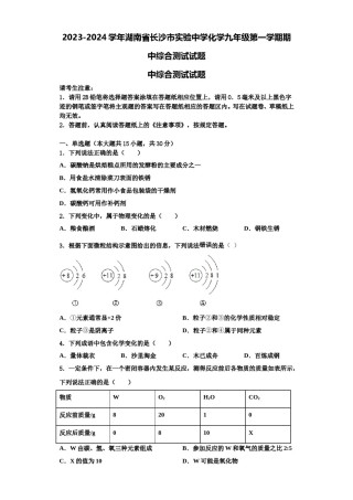 2023-2024学年湖南省长沙市实验中学化学九年级第一学期期中综合测试试题含解析.doc