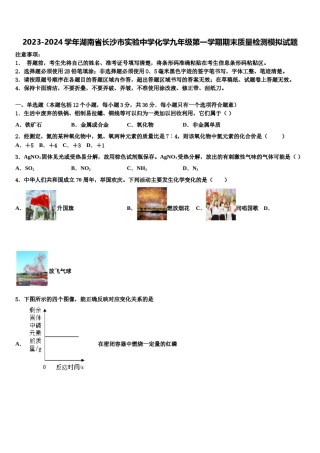 2023-2024学年湖南省长沙市实验中学化学九年级第一学期期末质量检测模拟试题含解析.doc