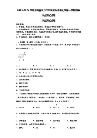 2023-2024学年湖南省长沙市岳麓区九年级化学第一学期期中综合测试试题含解析.doc