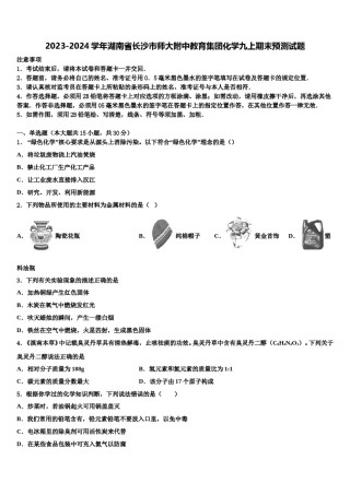 2023-2024学年湖南省长沙市师大附中教育集团化学九上期末预测试题含解析.doc