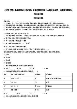 2023-2024学年湖南省长沙市师大附中教育集团第十九年级化学第一学期期末复习检测模拟试题含解析.doc