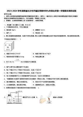 2023-2024学年湖南省长沙市开福区周南中学九年级化学第一学期期末调研试题含解析.doc